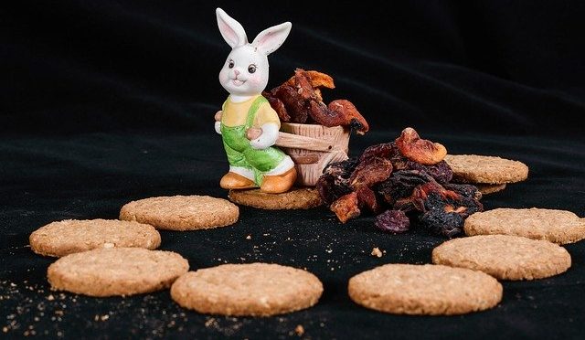 Cookies Toy Ushav Rabbit