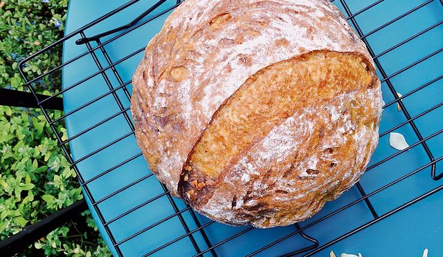 Food Cake Sourdough Bread Sweet